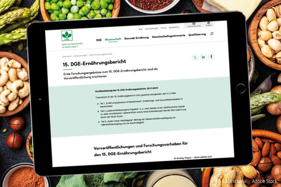 15. DGE Ernährungsbericht